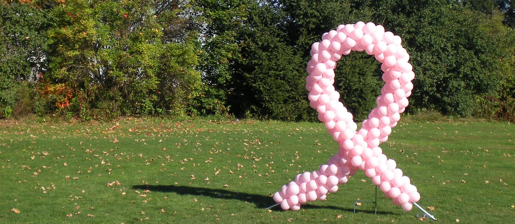 GMO Soy and Breast Cancer