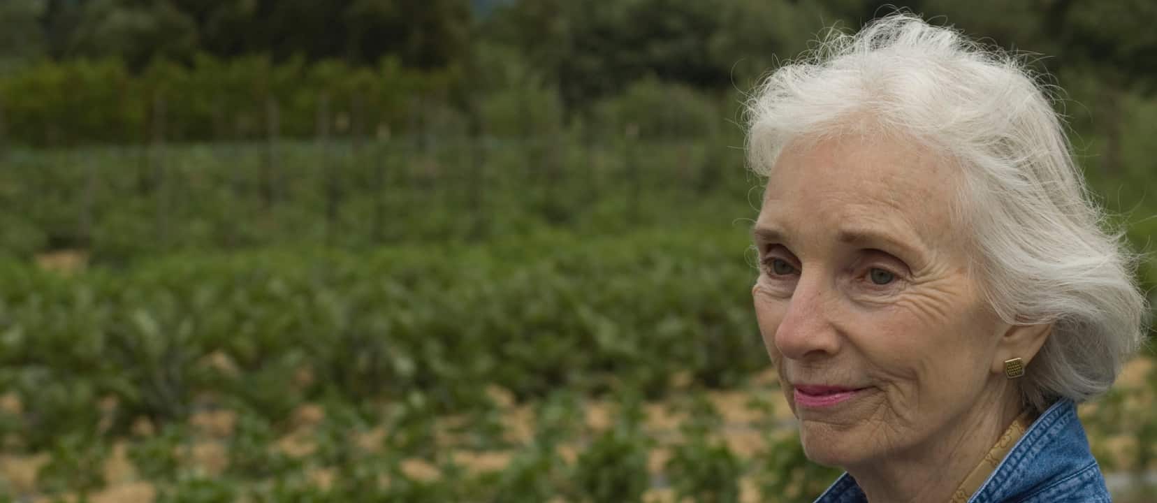 Preventing Alzheimer's Disease with Diet