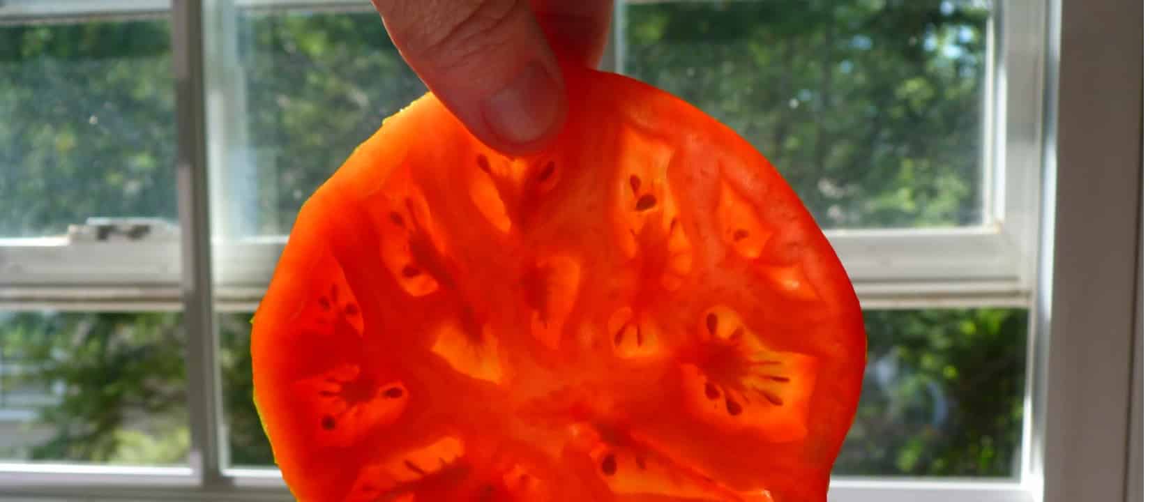 Inhibiting Platelet Activation with Tomato Seeds