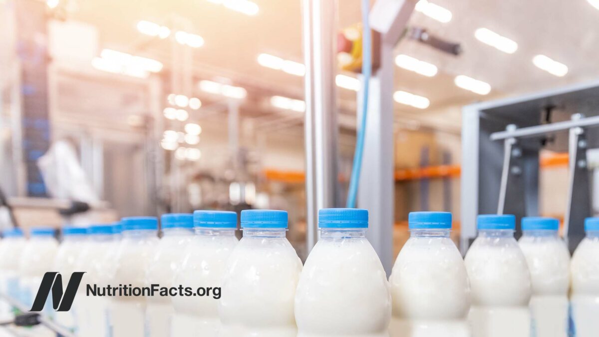 bottles of milk in the factory