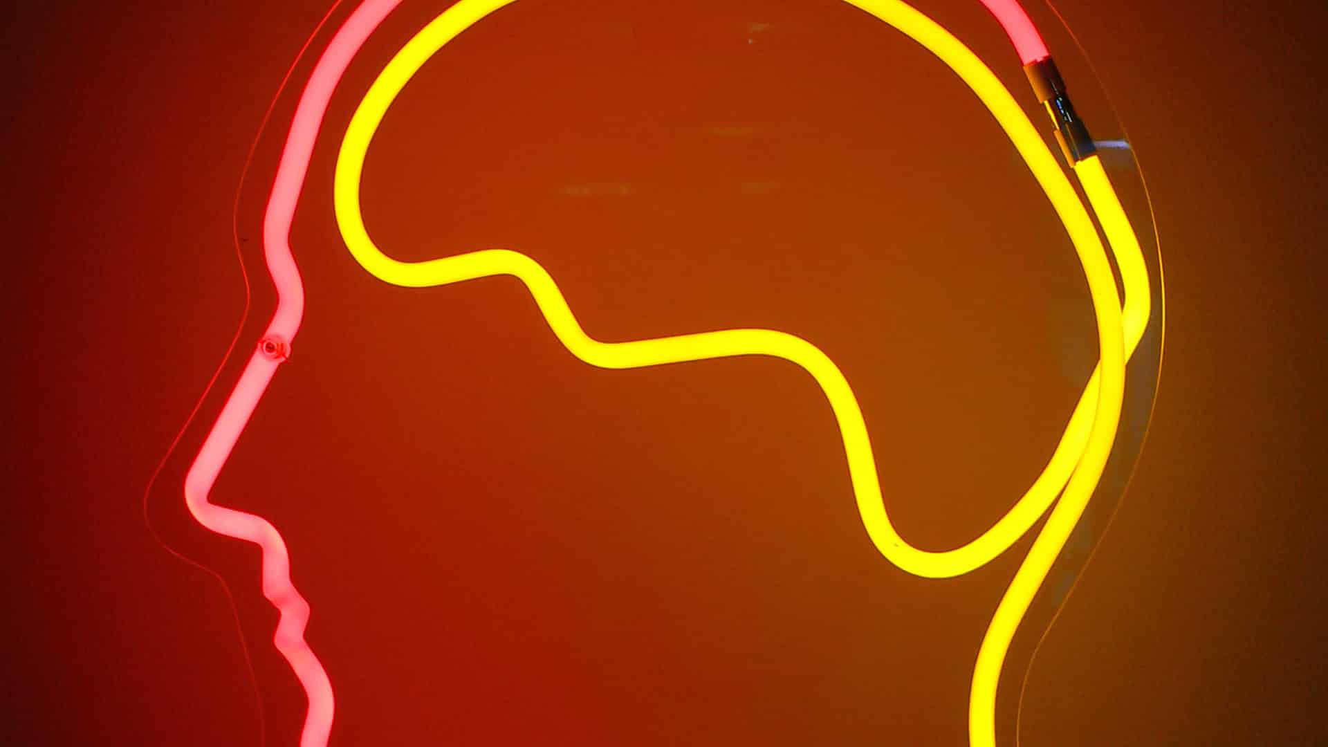 neon light shaped into a head and brain