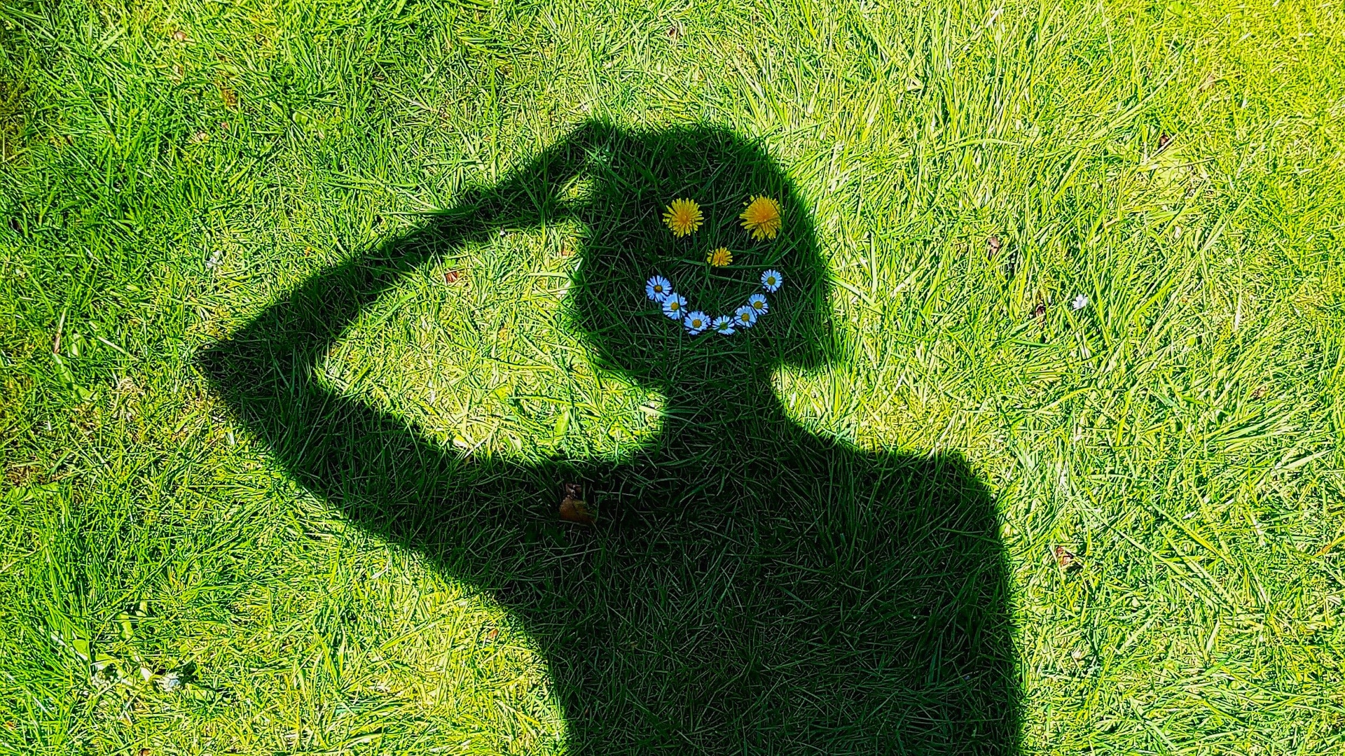 shadow of a person on grass with flowers shaped into a smiley face