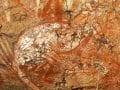 Paleo Diet Studies Show Benefits