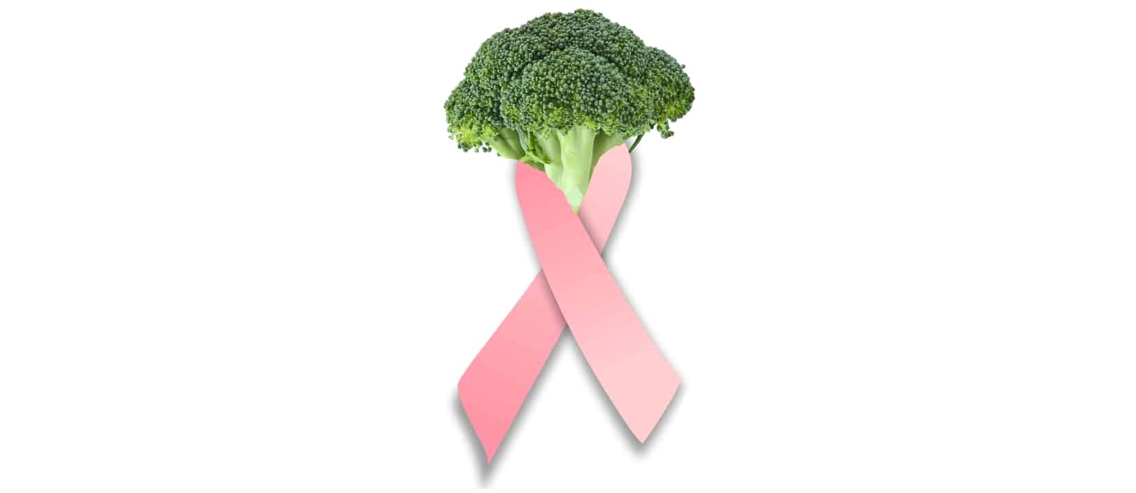 Which Dietary Factors Affect Breast Cancer Most?