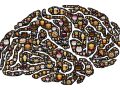 illustration of a brain with various junk foods filling it in