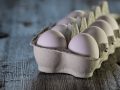 Egg Industry Response