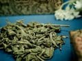 dried green tea leaves