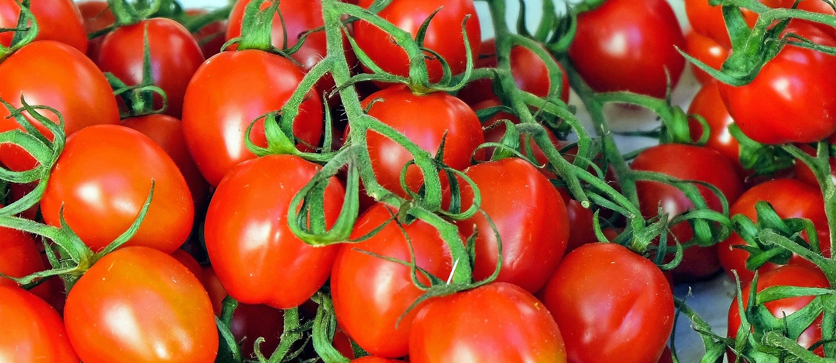 Why Was Heart Disease Rare in the Mediterranean?