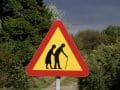 Should Vitamin D Supplements Be Taken to Prevent Falls in the Elderly?