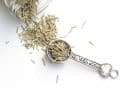 quarter teaspoon filled with dried rosemary