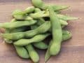 edamame beans