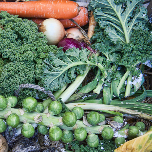 Verduras
