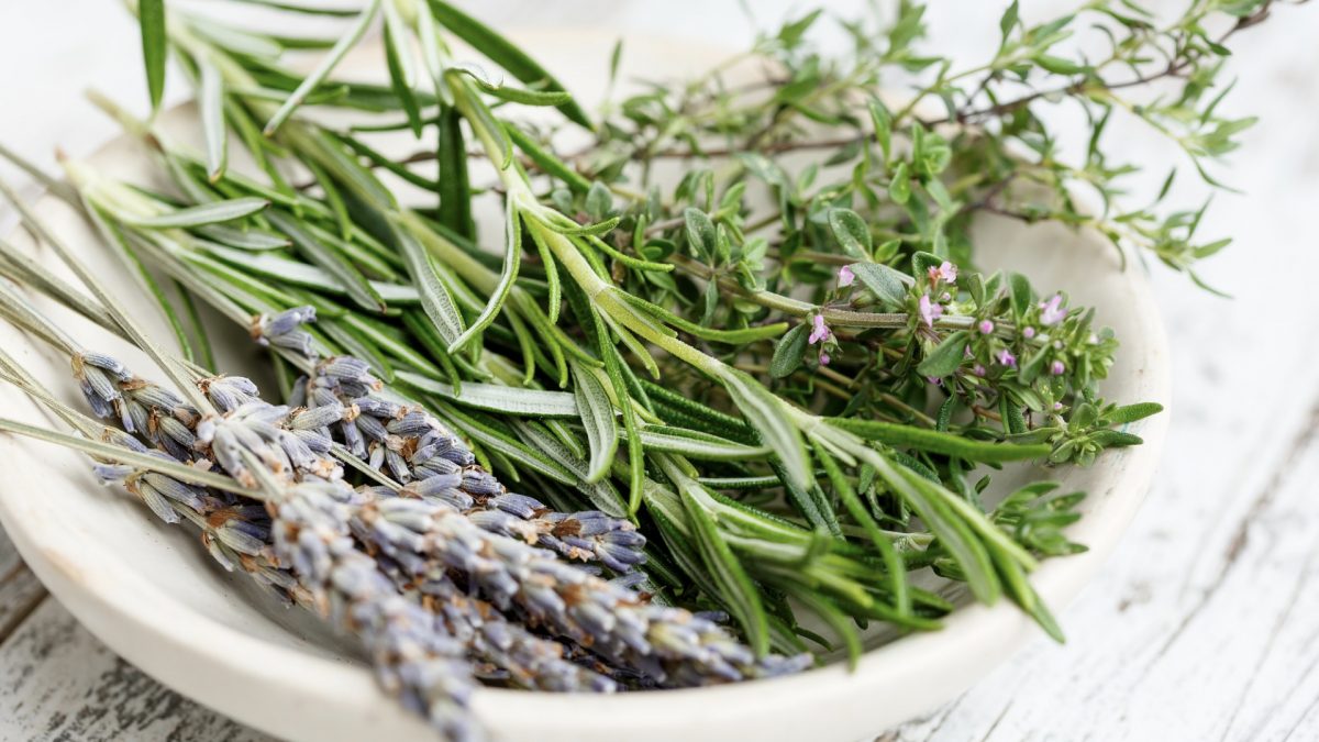 Best Aromatherapy Herb for Alzheimer’s