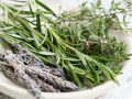 Best Aromatherapy Herb for Alzheimer’s