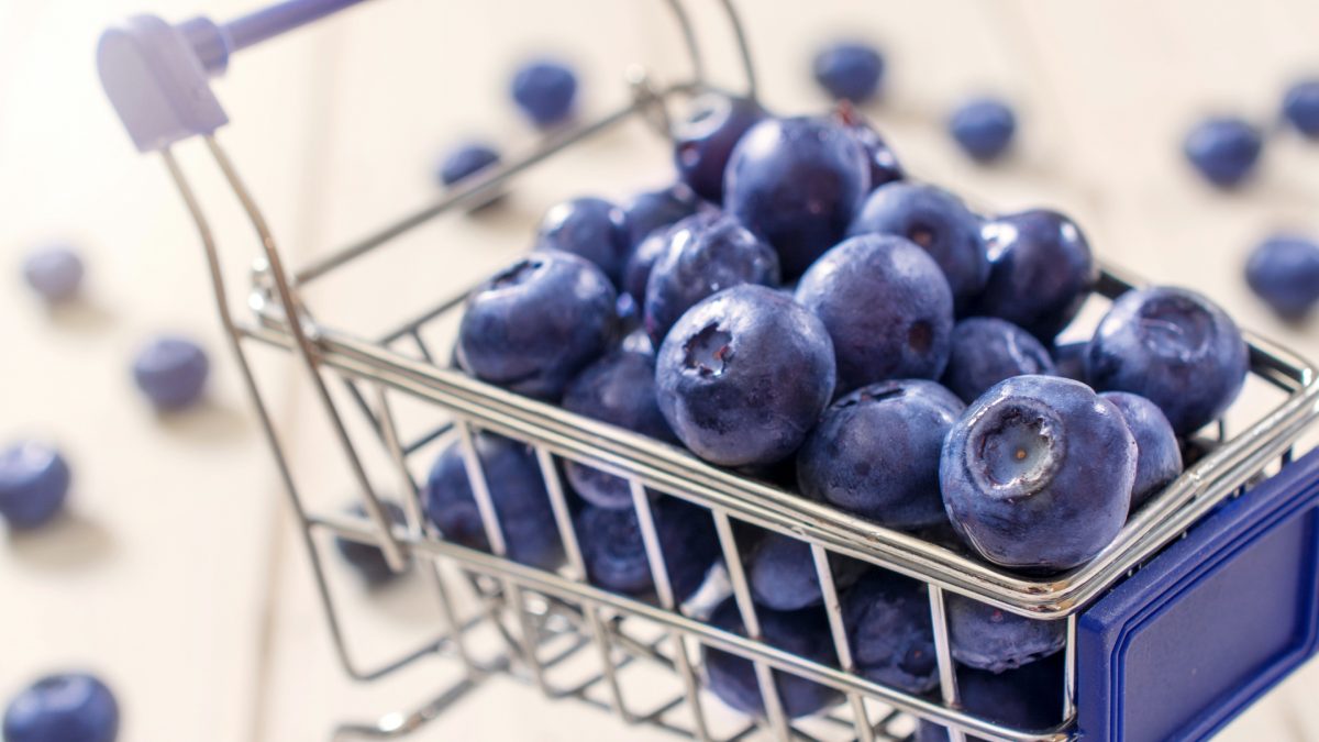 tiny shopping cart of blueberries