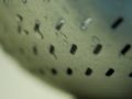 close up of a collander