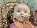 baby being spoonfed