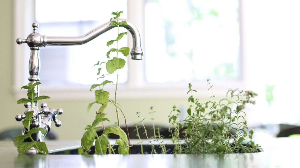 A Dietary Treatment for Irritable Bowel Syndrome