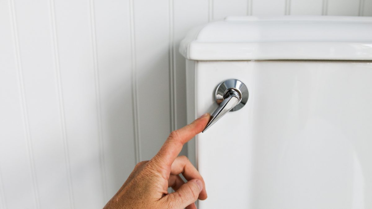 Optimal Bowel Movement Frequency
