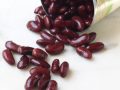 can of kidney beans