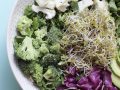 Fever Benefits for Autism in a Food