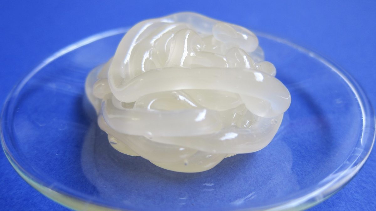 small mount of vaseline on a glass plate
