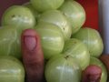 indian gooseberries