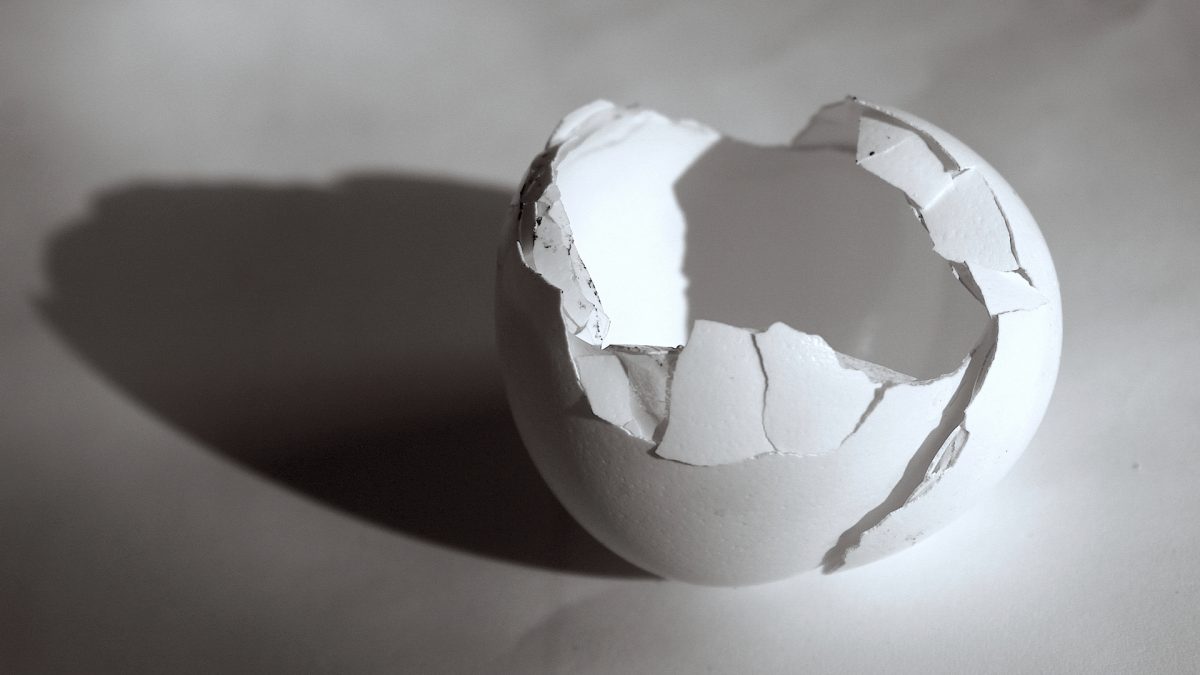 cracked empty egg shell