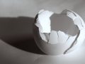 cracked empty egg shell