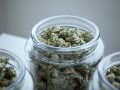 Is Marijuana Addictive?
