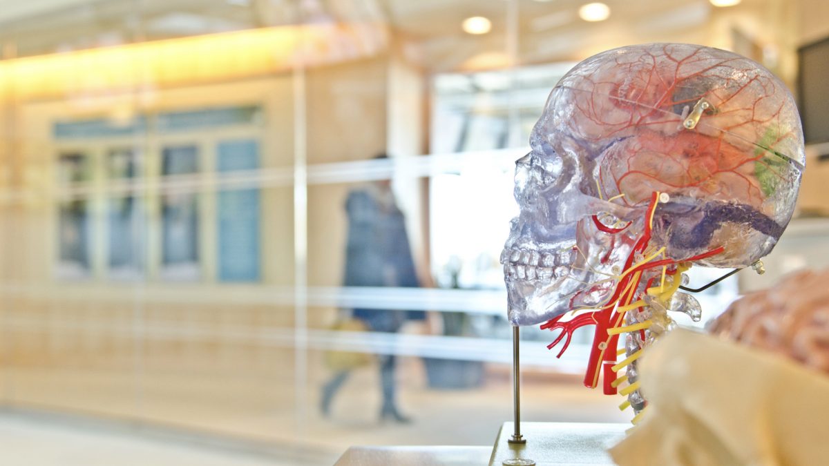 Does Marijuana Cause Permanent Brain Damage in Adults?