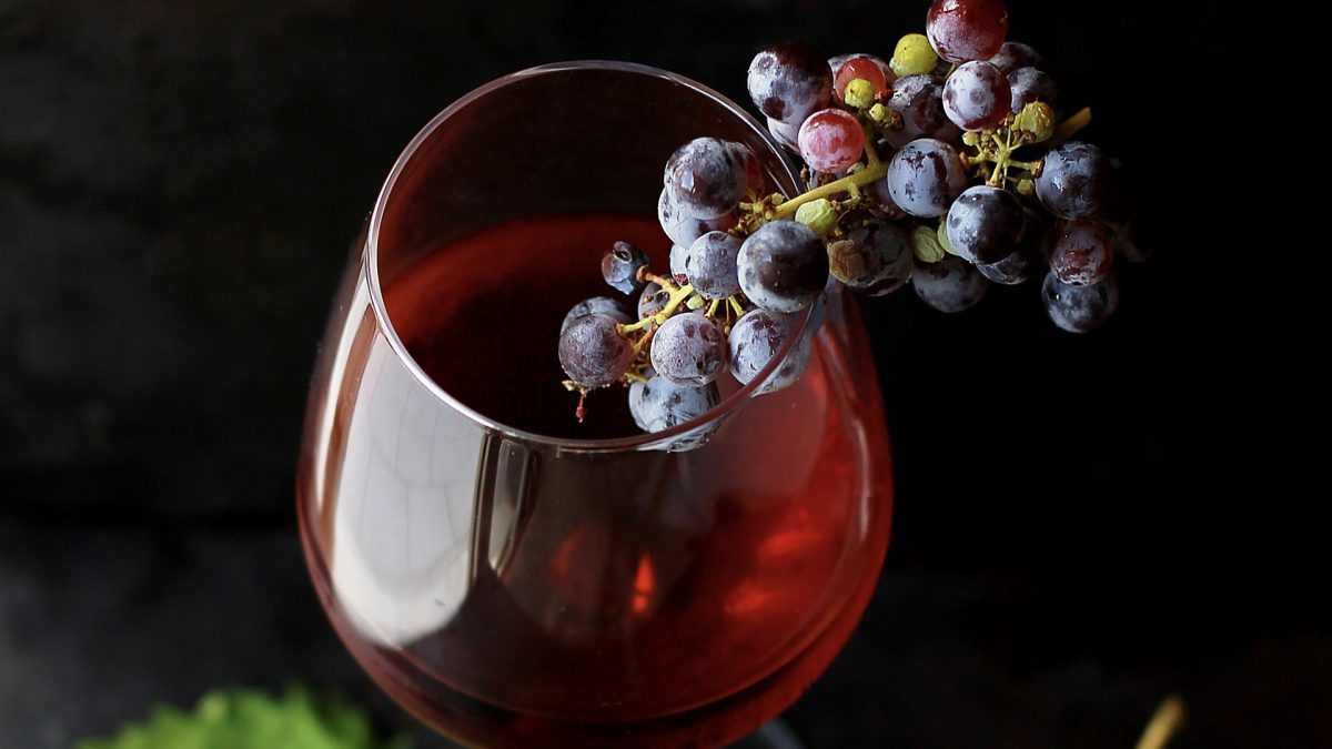 The Best Source of Resveratrol
