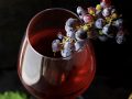 The Best Source of Resveratrol