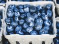 Benefits of Blueberries for Artery Function