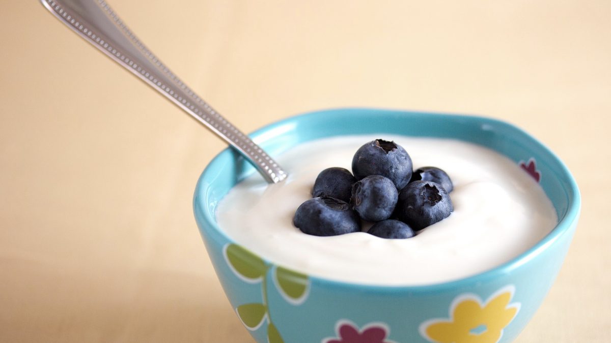 bowl of yogurt and blueberries