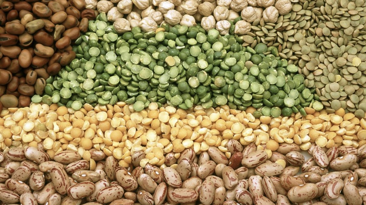 various dried legumes
