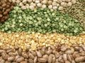 various dried legumes