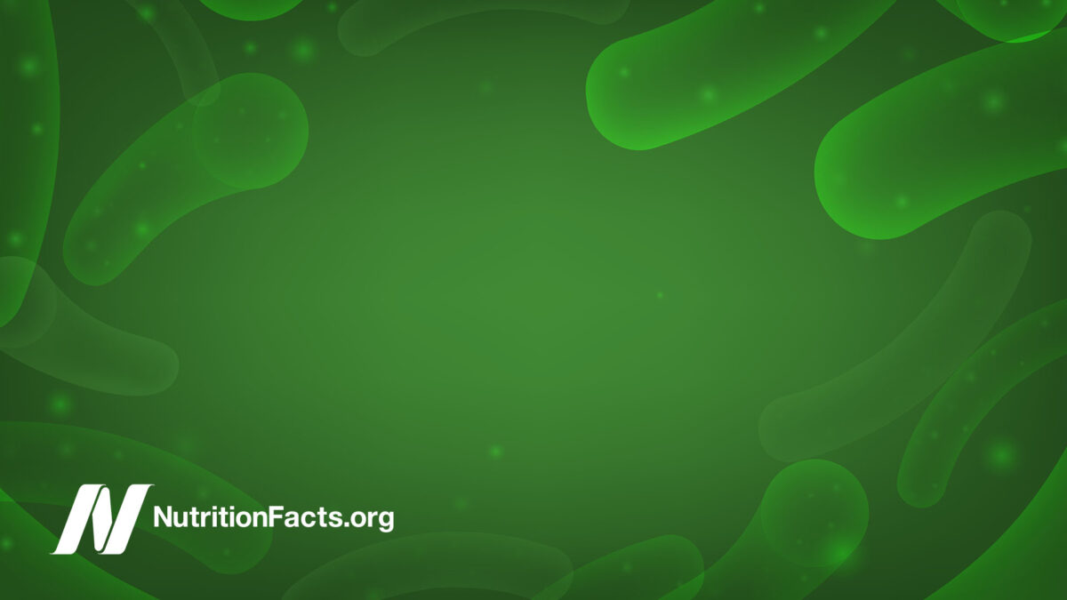 illustration of cells