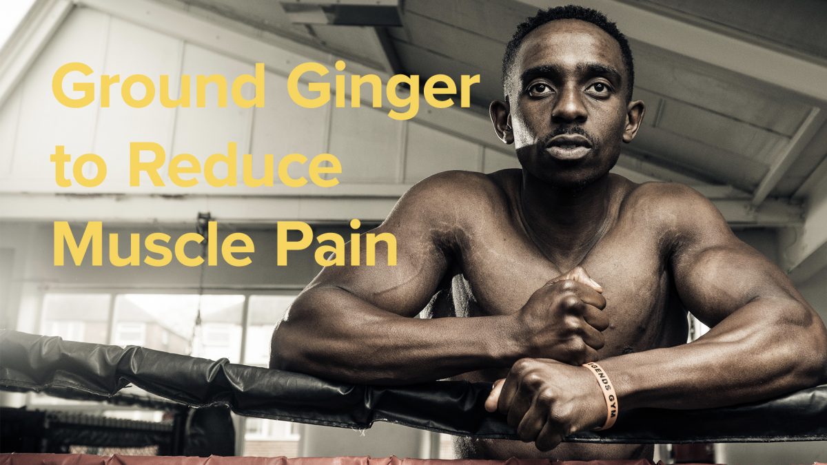 Ground Ginger to Reduce Muscle Pain