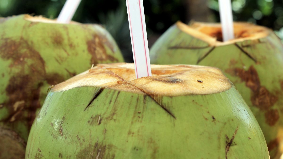 three coconuts with straws sticking out of them