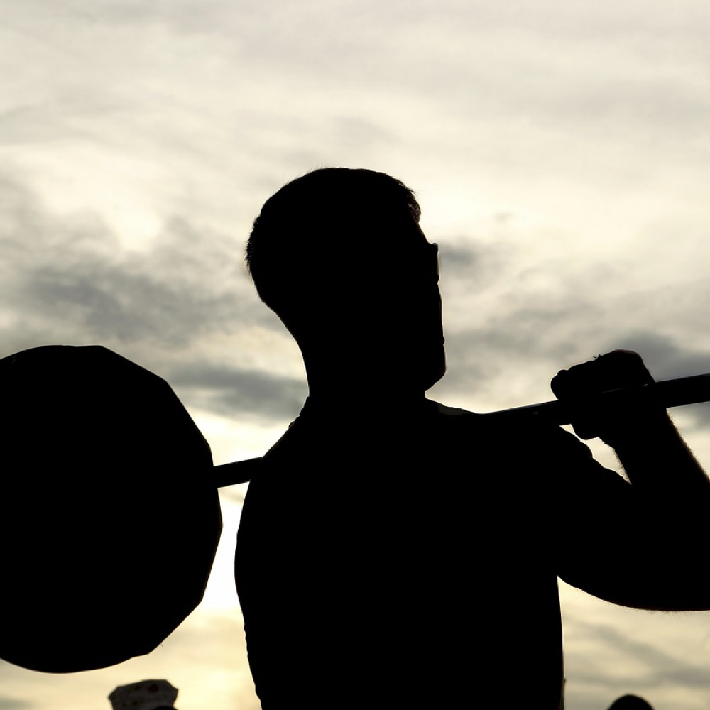 Protein Powder