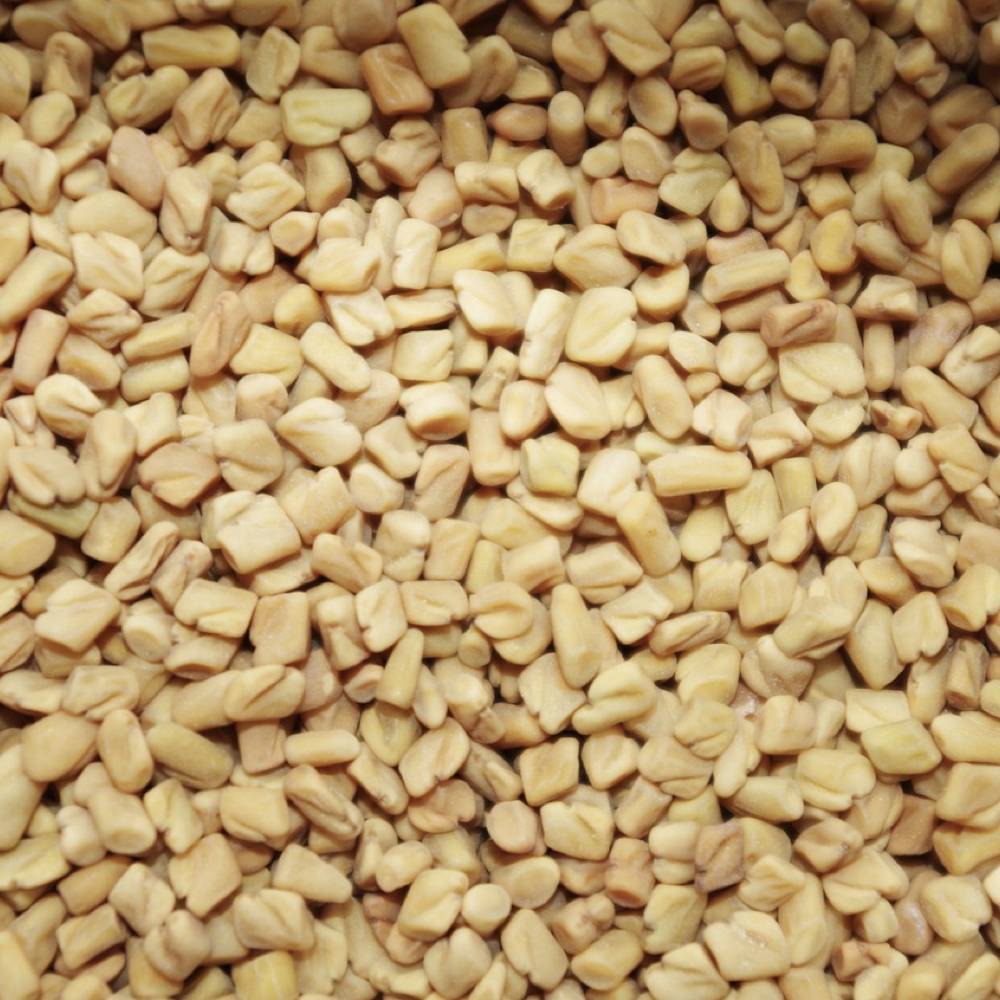 Fenugreek