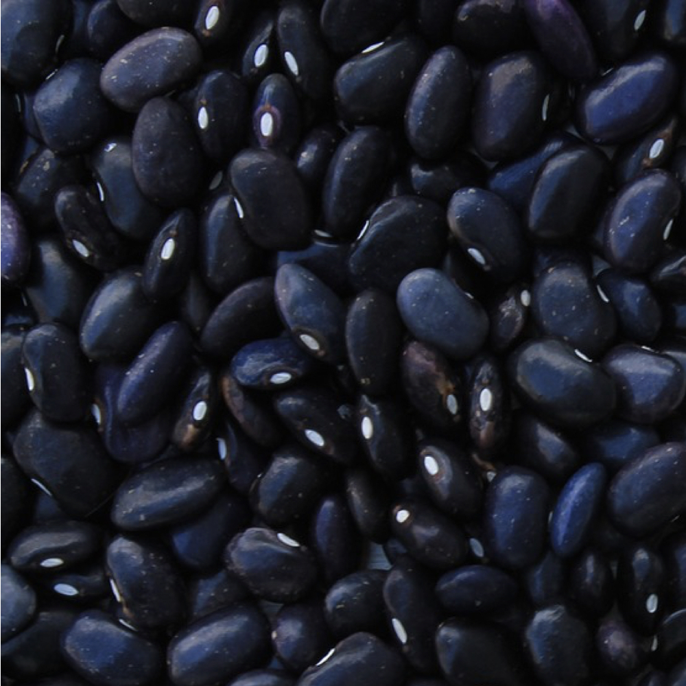 Frijoles Negros