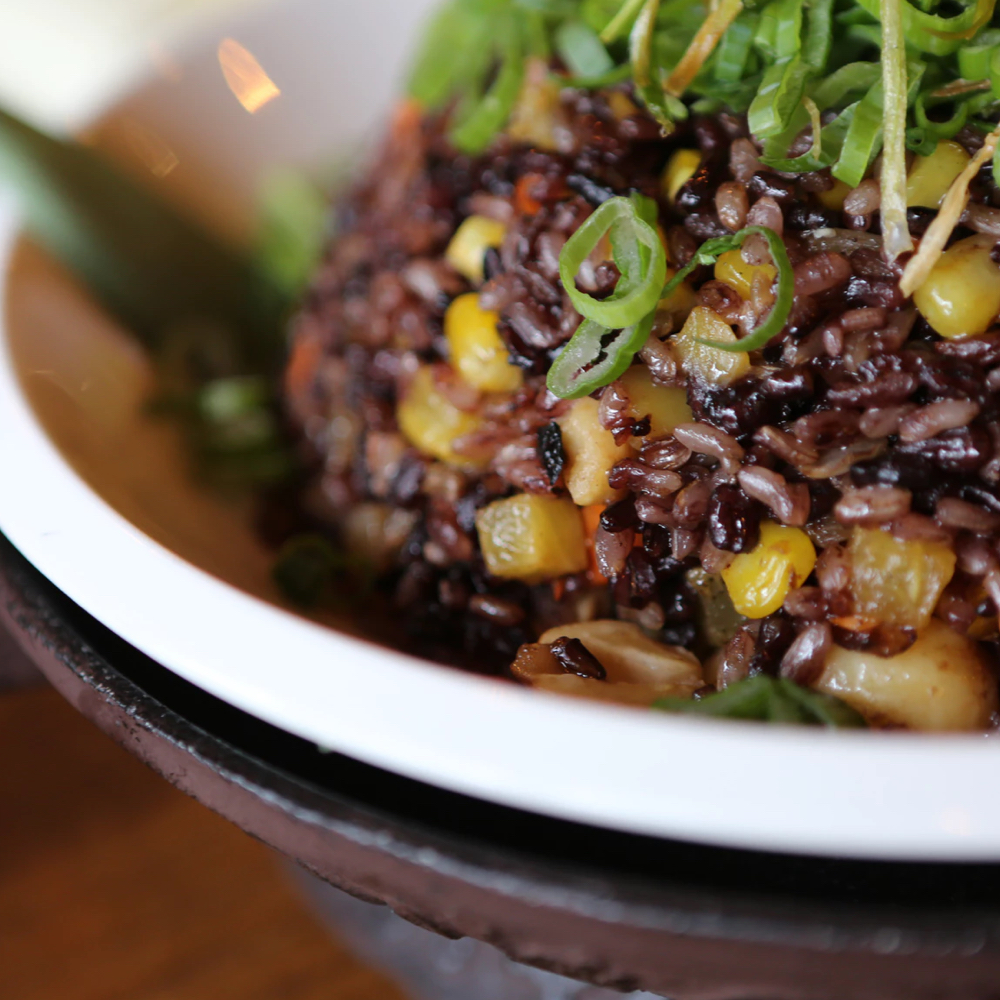 Plant Protein