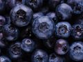Benefits of Blueberries for the Brain