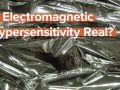 Is Electromagnetic Hypersensitivity Real?