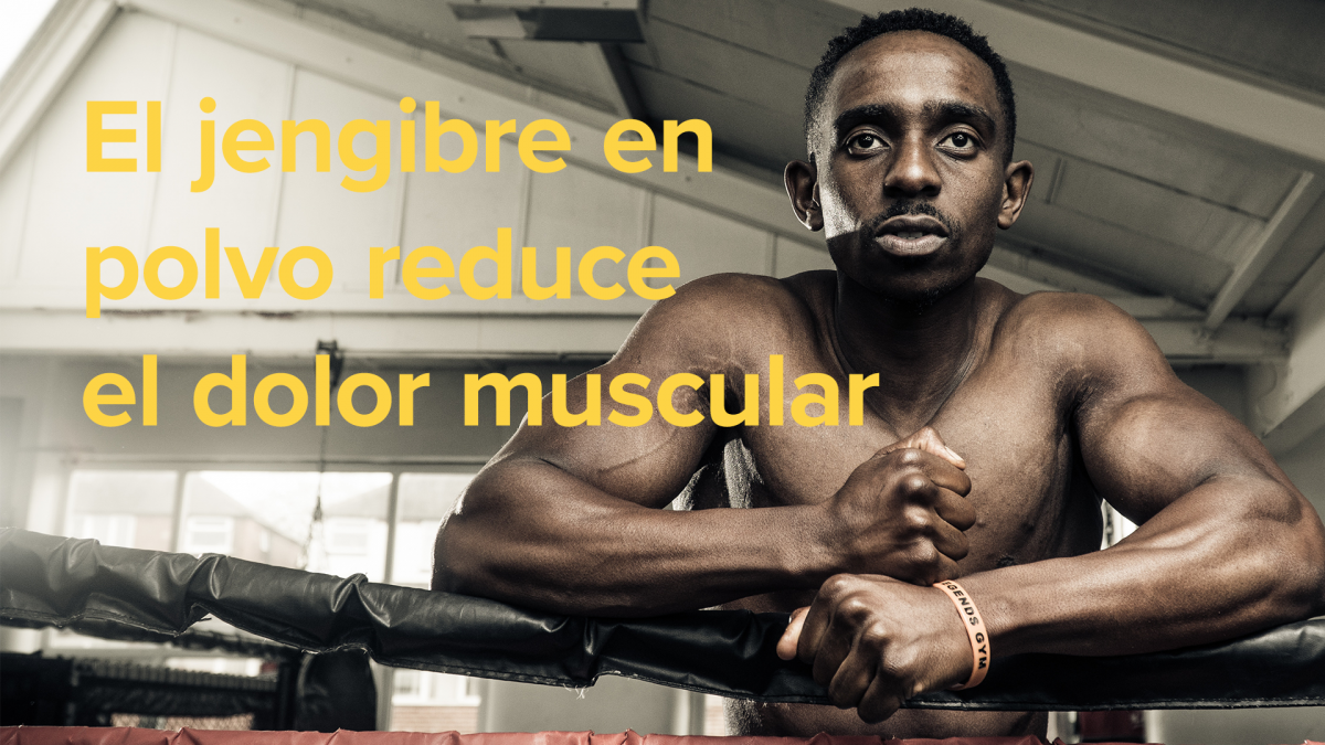 El jengibre en polvo reduce el dolor muscular