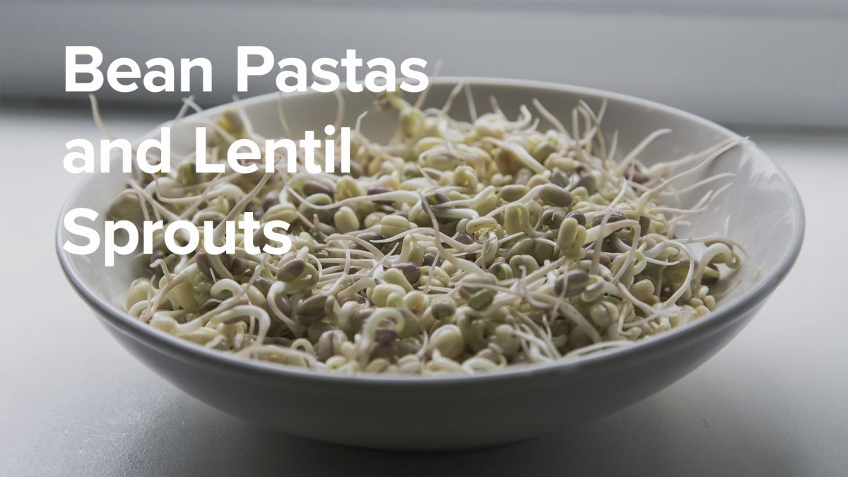 bowl of sprouted lentils