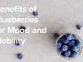 benefits of blueberries