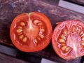 halved cherry tomato